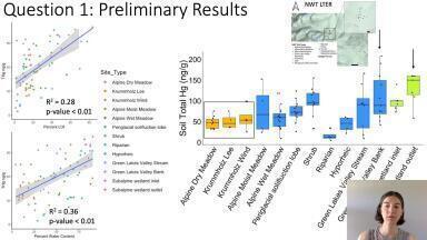 Mercury in the Colorado Rocky Mountains, United States: Storage, Transformation, and Transfer